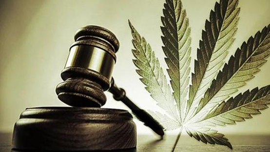 陽(yáng)光boy販賣大麻被刑拘，王平聚刑事團(tuán)隊(duì)受托介入獲“關(guān)多久，判多久”
