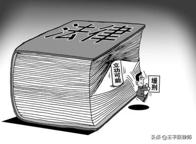 重大立功為何未能保住賴小民一命？