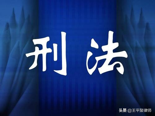 女輔警被判13年罰金500萬是否過重？