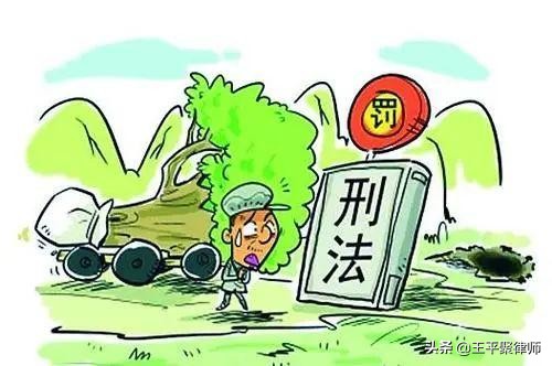 山東一農民砍自己種的楊樹被判濫伐林木罪合法嗎？